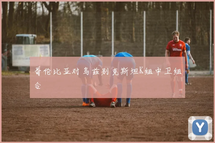 哥伦比亚对乌兹别克斯坦K组中卫组合