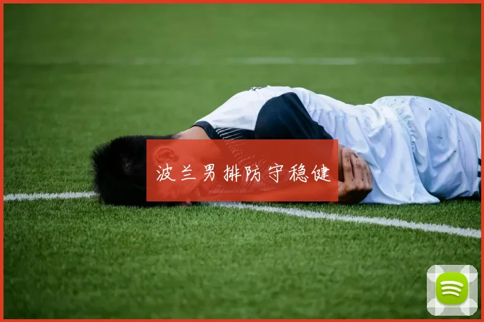 波兰男排防守稳健