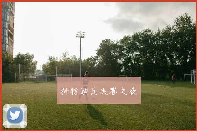 科特迪瓦决赛之夜