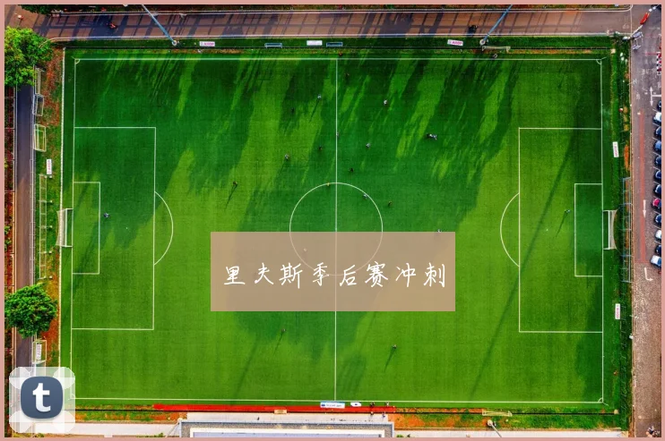里夫斯季后赛冲刺