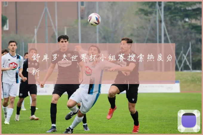 舒库罗夫世界杯小组赛搜索热度分析