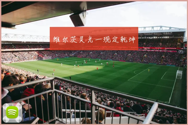 维尔茨灵光一现定乾坤