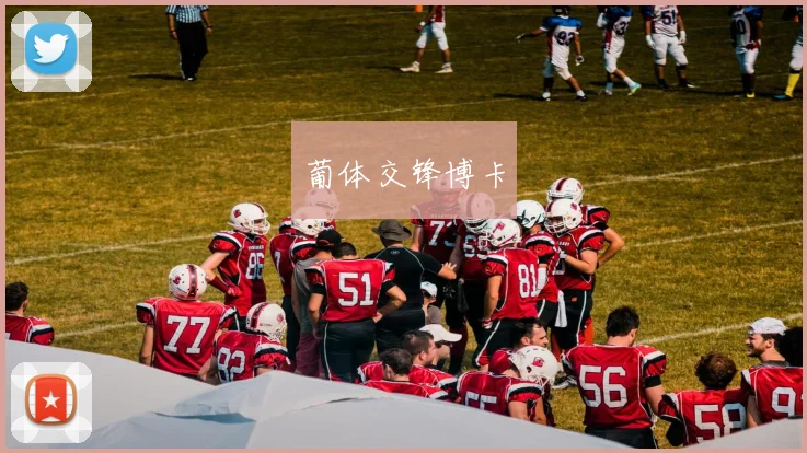 葡体交锋博卡