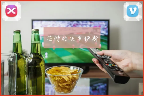 芒特对决罗伊斯