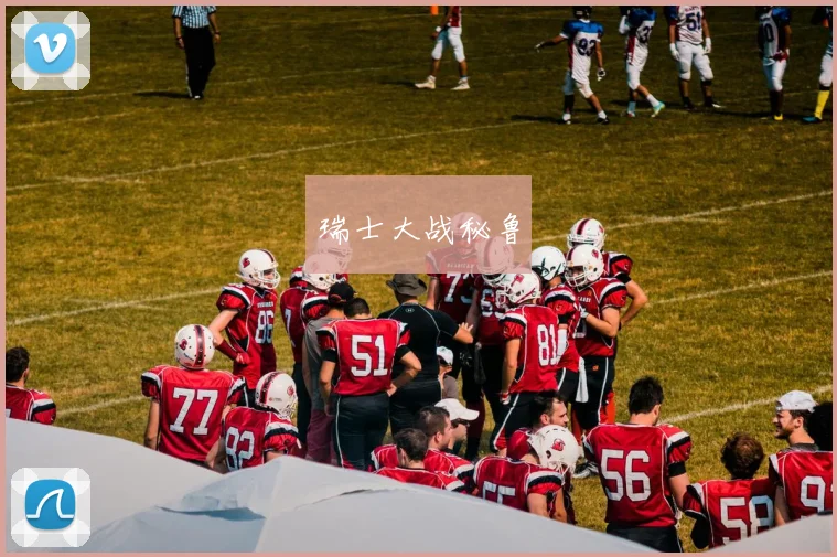 瑞士大战秘鲁