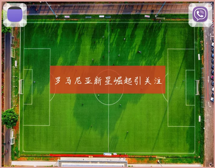 罗马尼亚新星崛起引关注