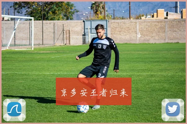 京多安王者归来