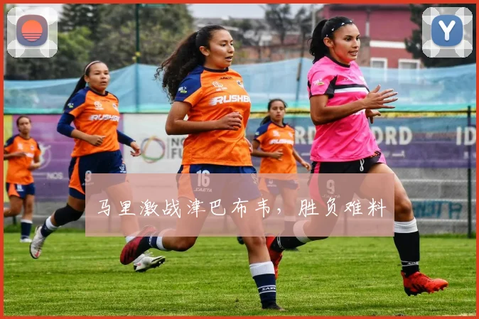 马里激战津巴布韦,胜负难料