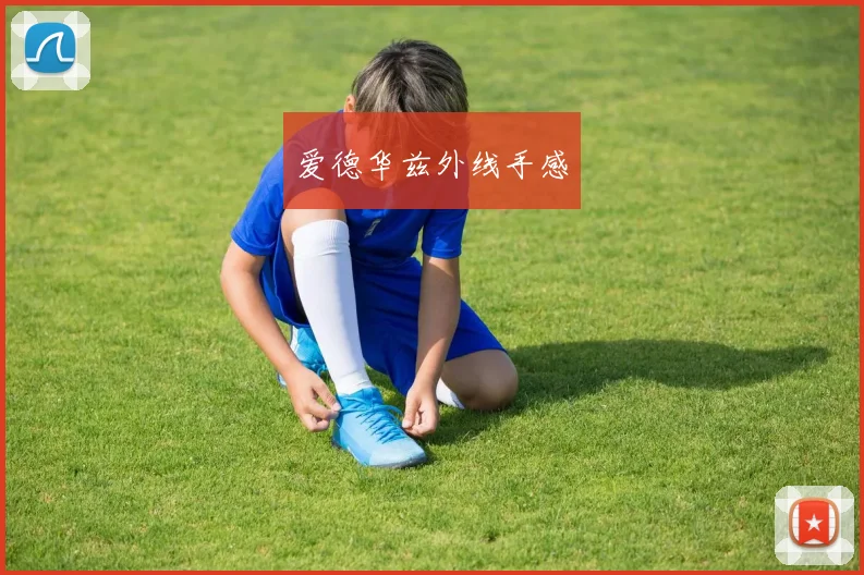爱德华兹外线手感