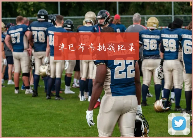 津巴布韦挑战纪录