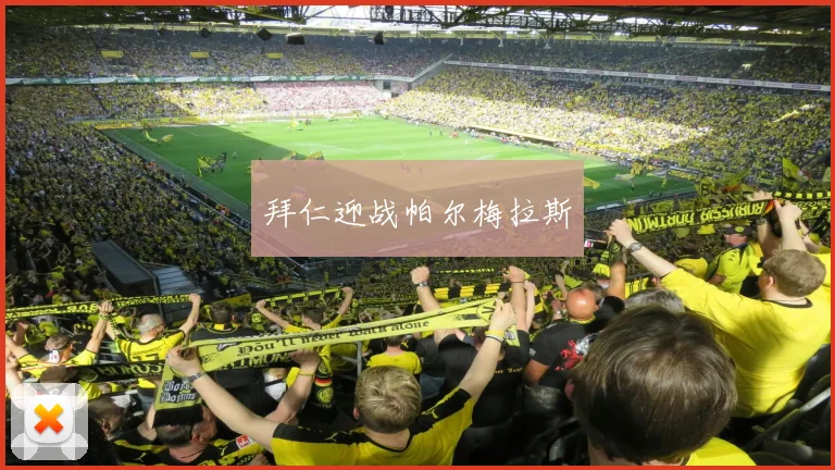 拜仁迎战帕尔梅拉斯