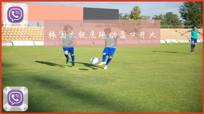 韩国太极虎跑动盘口开大