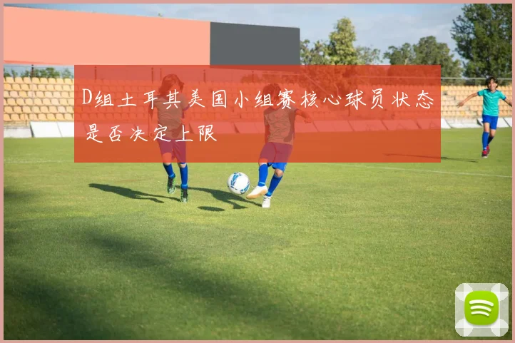 D组土耳其美国小组赛核心球员状态是否决定上限