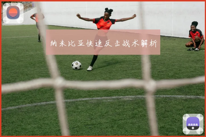纳米比亚快速反击战术解析