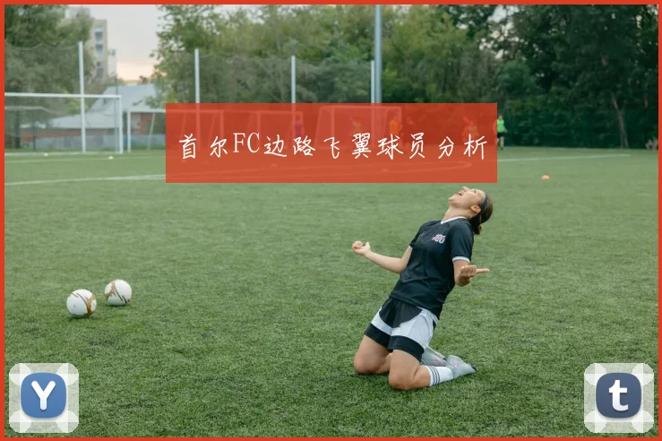 首尔FC边路飞翼球员分析