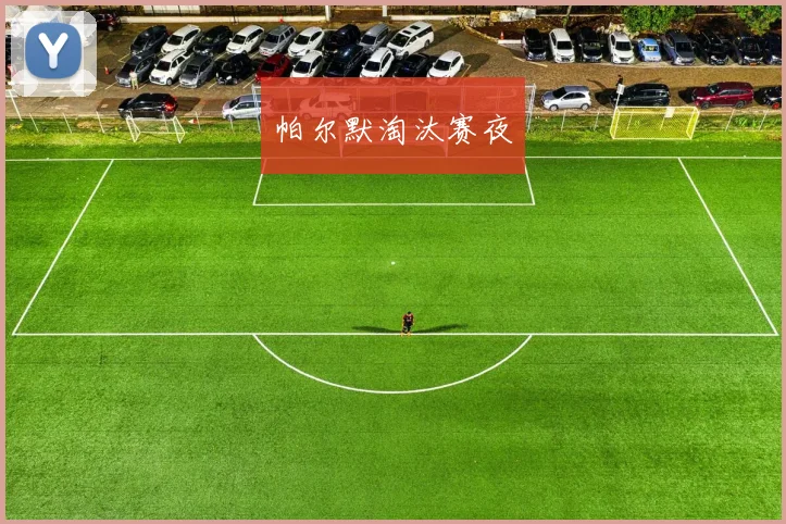帕尔默淘汰赛夜
