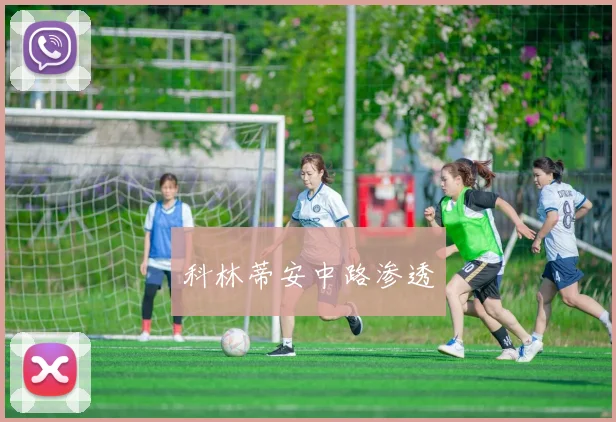 科林蒂安中路渗透