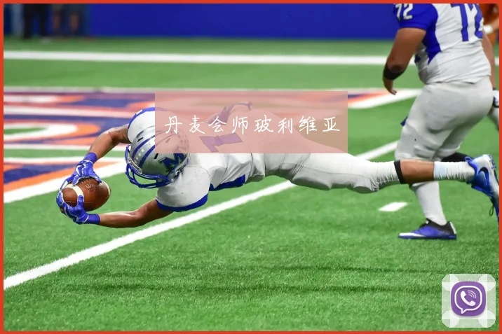 丹麦会师玻利维亚