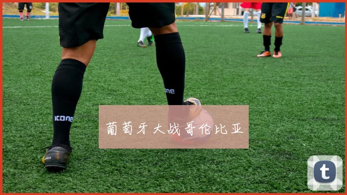 葡萄牙大战哥伦比亚