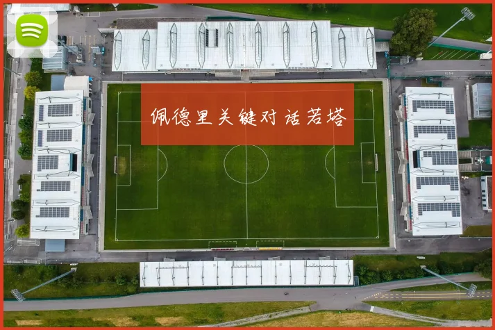 佩德里关键对话若塔