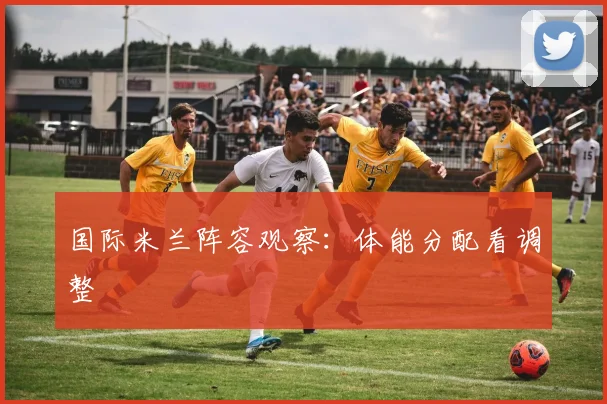 国际米兰阵容观察：体能分配看调整